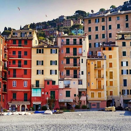 Al Porto 61 - Rooms For Rent Camogli Exteriör bild