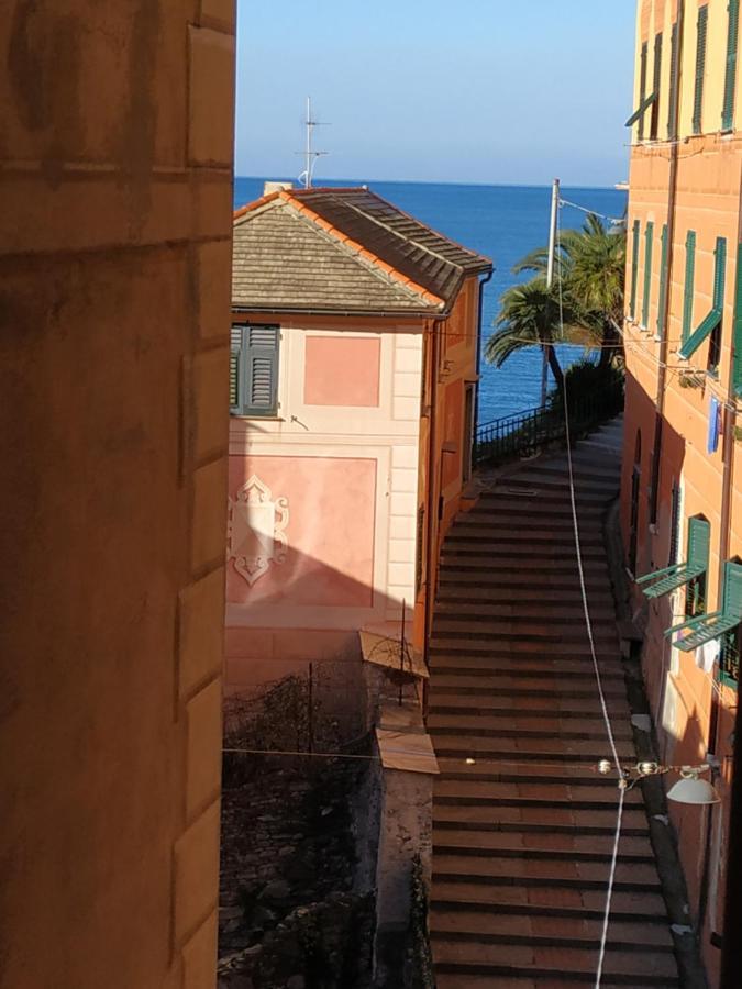 Al Porto 61 - Rooms For Rent Camogli Exteriör bild