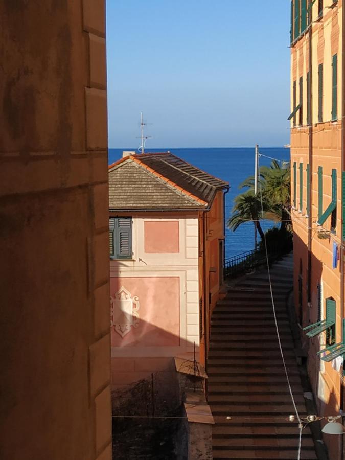 Al Porto 61 - Rooms For Rent Camogli Exteriör bild
